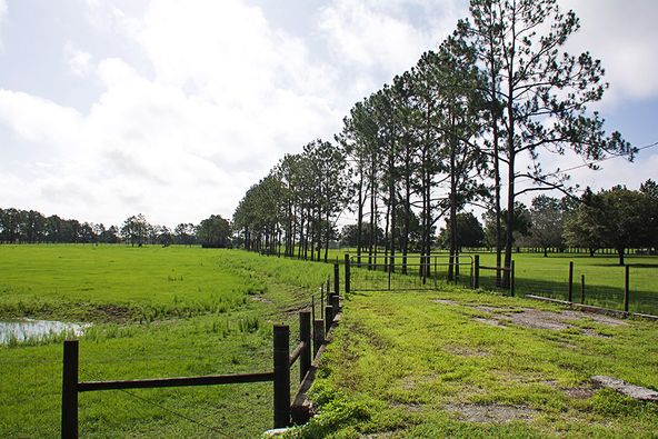 3375 Anderson Rd, Mulberry, FL 33860